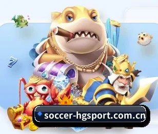soccer-hgsport.com.cn的故事 - 体育资讯内容服务
